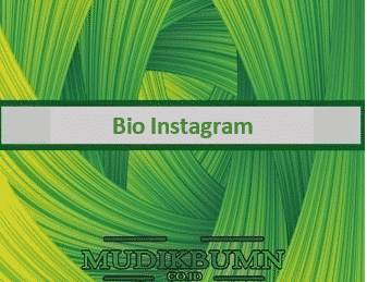 bio instagram