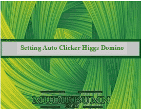Setting Auto Clicker Higgs Domino