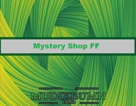 Mystery Shop FF 