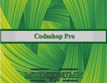 Codeshop Pro