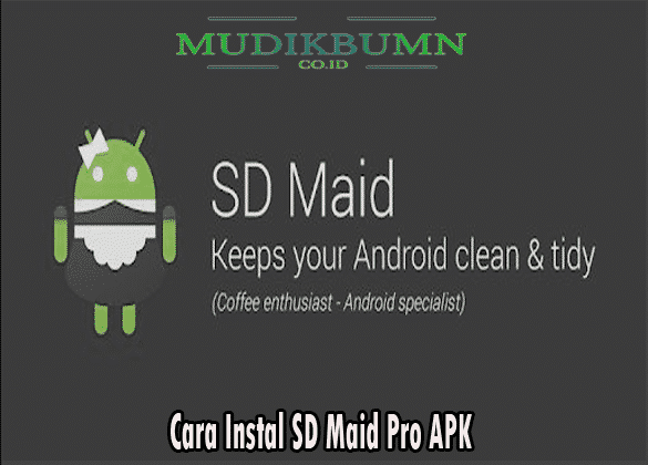 download sd maid pro apkpure