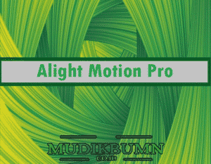 alight motion pro