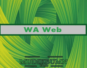 wa web