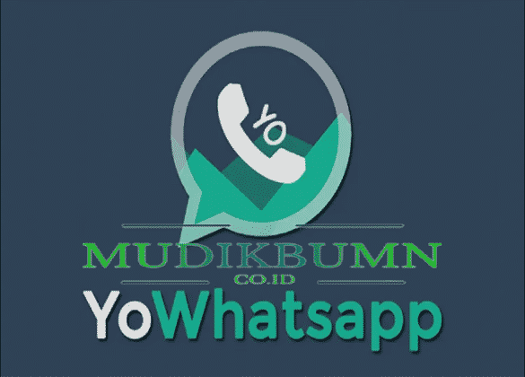 aplikasi yowhatsapp