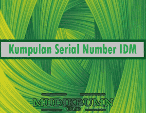 serial number idm