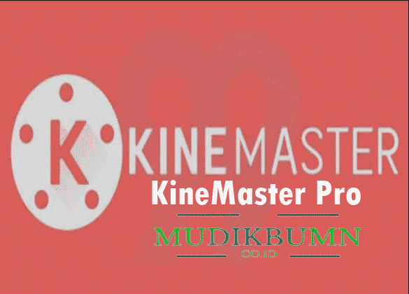  KineMaster Pro