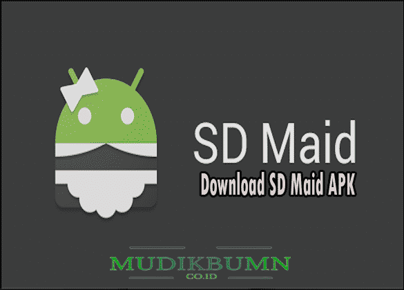 download sd maid pro apkpure