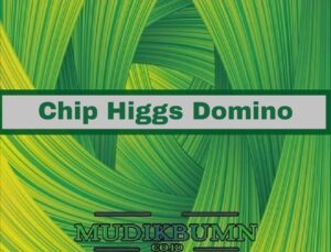 cara mendapatkan chip higgs domino gratis