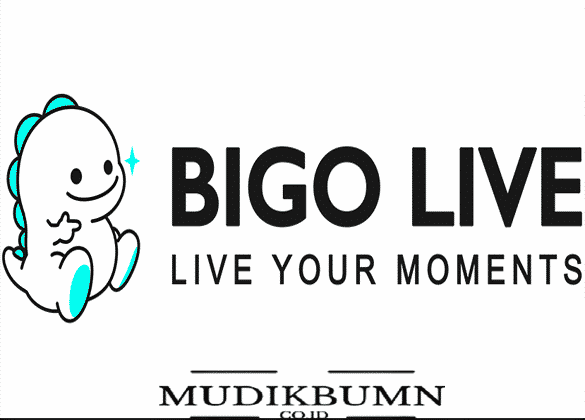 download apk bigo live