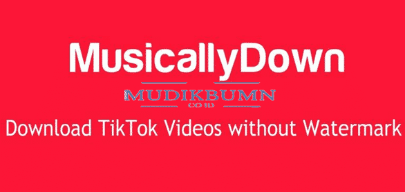 MussicallyDown
