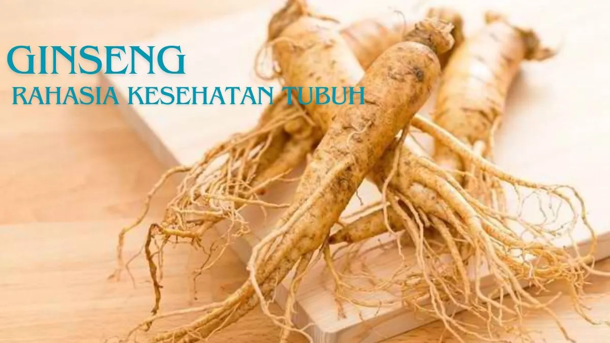 Keajaiban Ginseng Rahasia Kesehatan Tubuh Anda! Keajaiban Ginseng: Rahasia Kesehatan Tubuh Anda!