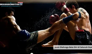 Jenis Olahraga Bela Diri di Seluruh Dunia_11zon