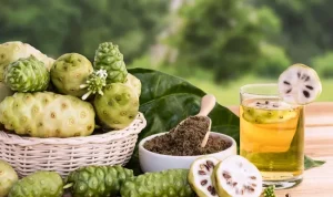 Manfaat Buah Pace dan Kandungan Nutrisi yang Berlimpah_11zon