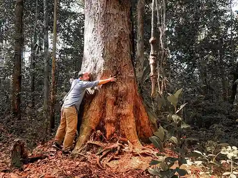 Tumbuhan yang Dilindungi