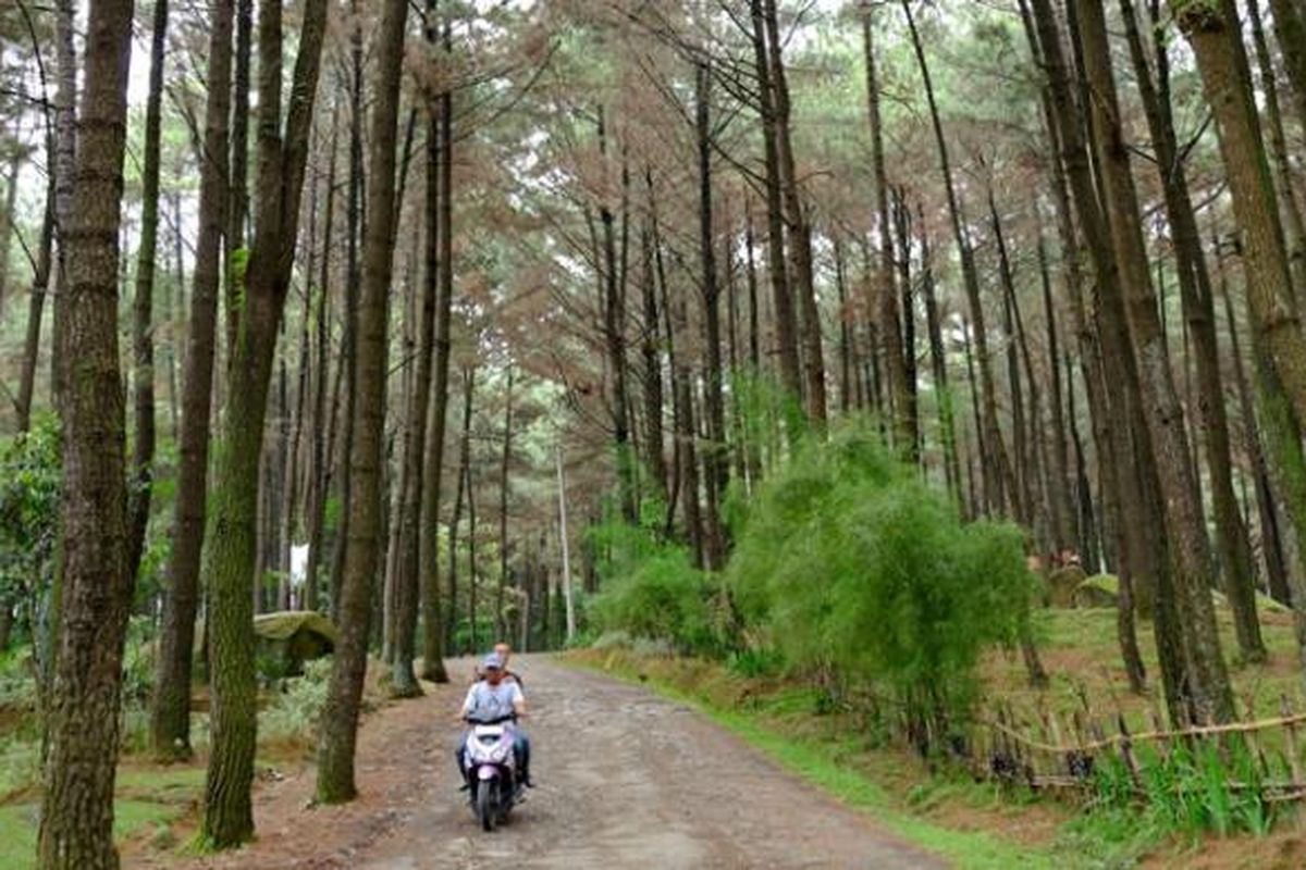 Wisata Sejuk Wisata Sejuk