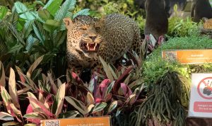 Wisata Malam Wisata Malamv